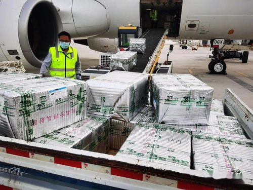 烏魯木齊國際機場國際貨運業務全面恢復運營