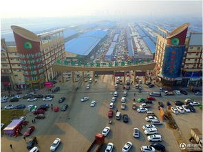 洛陽(yáng)宏進(jìn)農(nóng)副產(chǎn)品國(guó)際物流中心均價(jià)8000元 ㎡